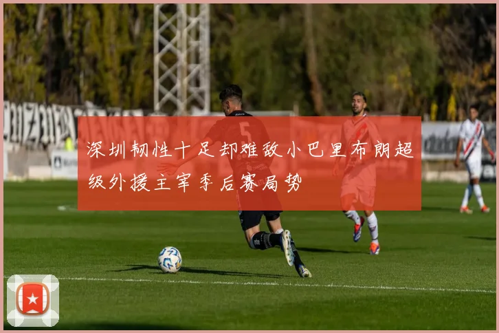 深圳韧性十足却难敌小巴里布朗超级外援主宰季后赛局势