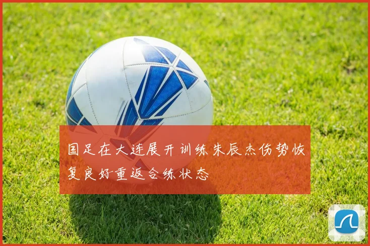 国足在大连展开训练朱辰杰伤势恢复良好重返合练状态